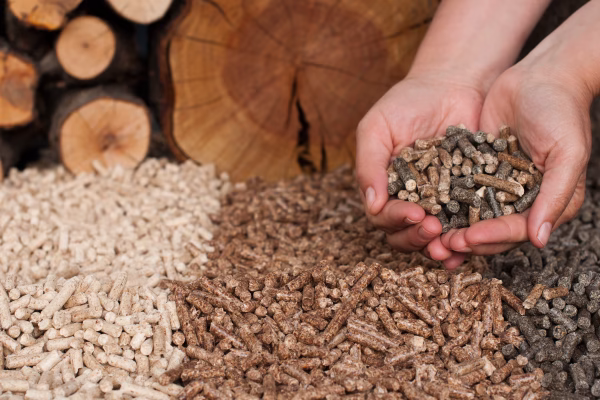 Two hands hold a handful of small pellets, surrounded by piles of different colored wood pellets on a wooden surface. In the background, stacked logs are visible
