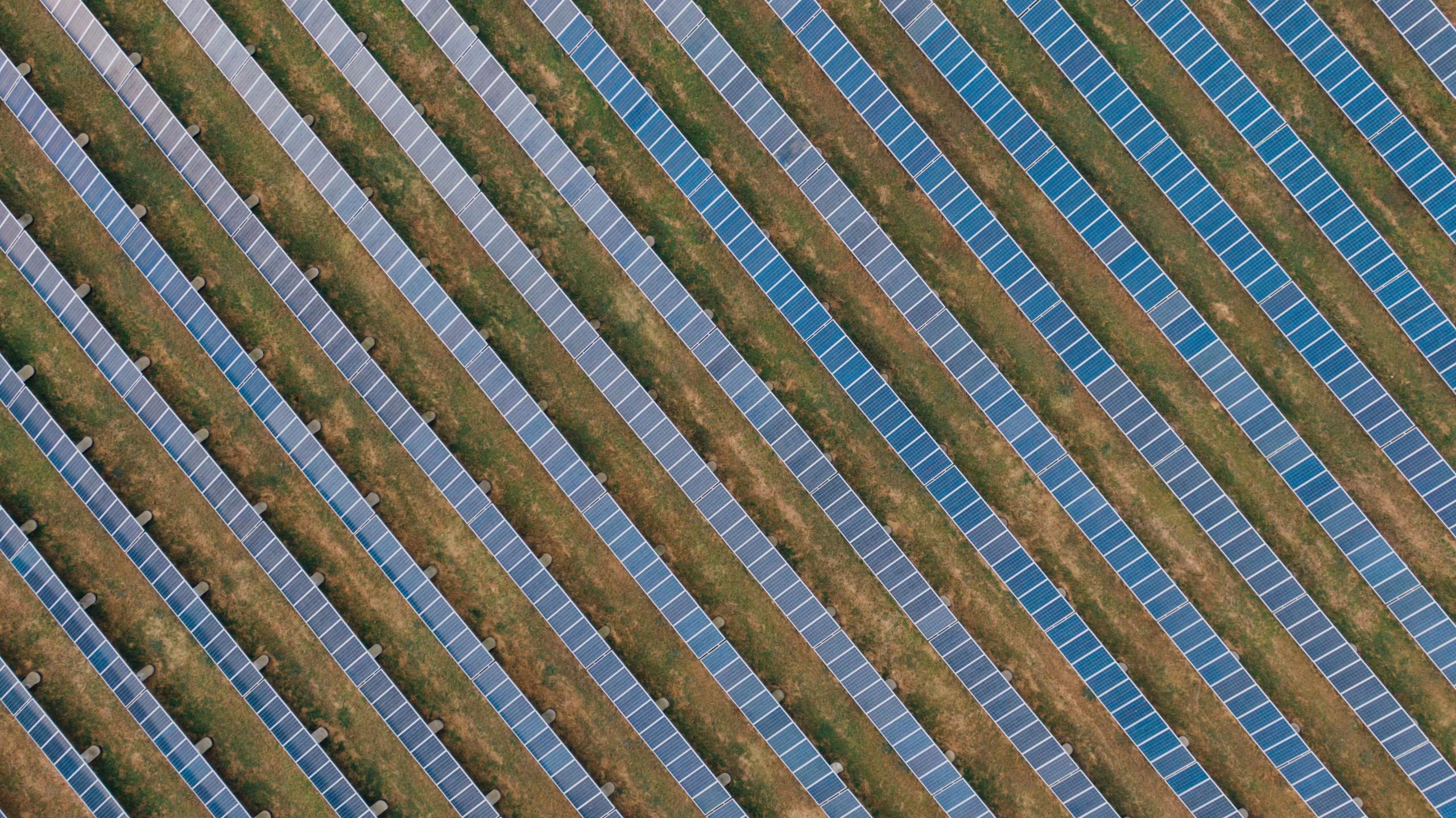 Aerial view of a solar farm featuring rows of solar panels arranged in diagonal lines across a grassy landscape. The panels are predominantly blue, contrasting with the green and brown of the surrounding ground