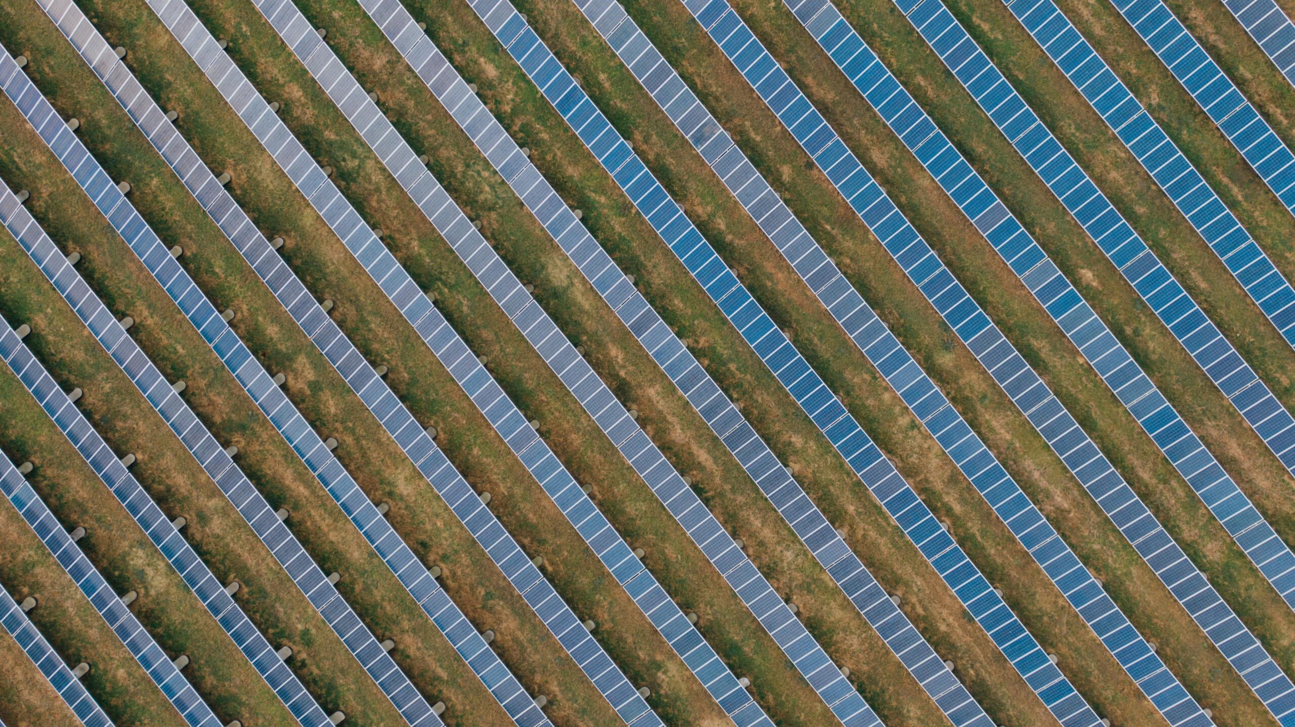 Aerial view of a solar farm featuring rows of solar panels arranged in diagonal lines across a grassy landscape. The panels are predominantly blue, contrasting with the green and brown of the surrounding ground