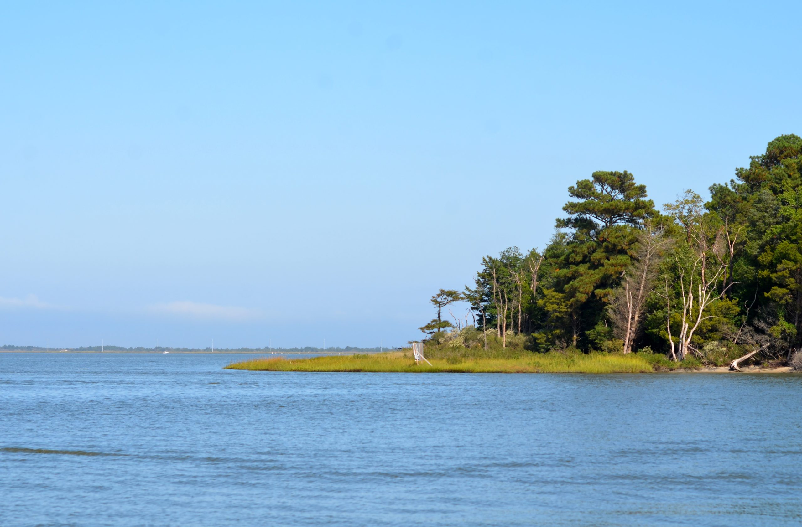 A calm body of water with a small, grassy shoreline on the left, bordered by trees. The sky is clear and blue, with a few wispy clouds in the distance