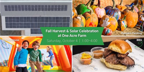 A promotional graphic for the Fall Harvest and Solar Celebration at One Acre Farm on Saturday, October 4, from 1:00 to 4:00 PM. The image features four sections: solar panels on a building, children playing in a bounce house, painted pumpkins, and a BBQ sandwich with sides